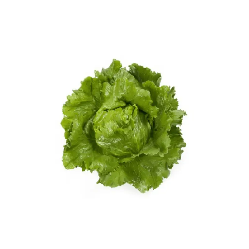 Салат айсберг