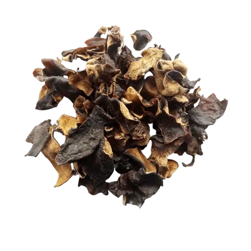 Древесные грибы