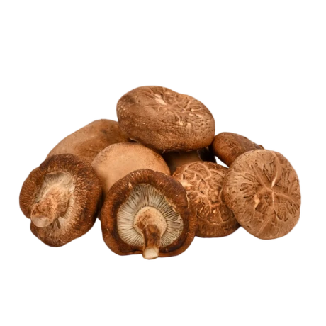 Грибы Шитаки